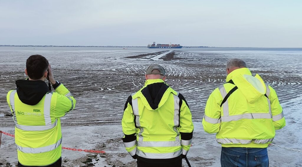 Survey team in high-visibility jackets observing tidal flats with a large container ship in the distance during offshore cable survey.